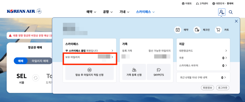 대한항공 마일리지 조회