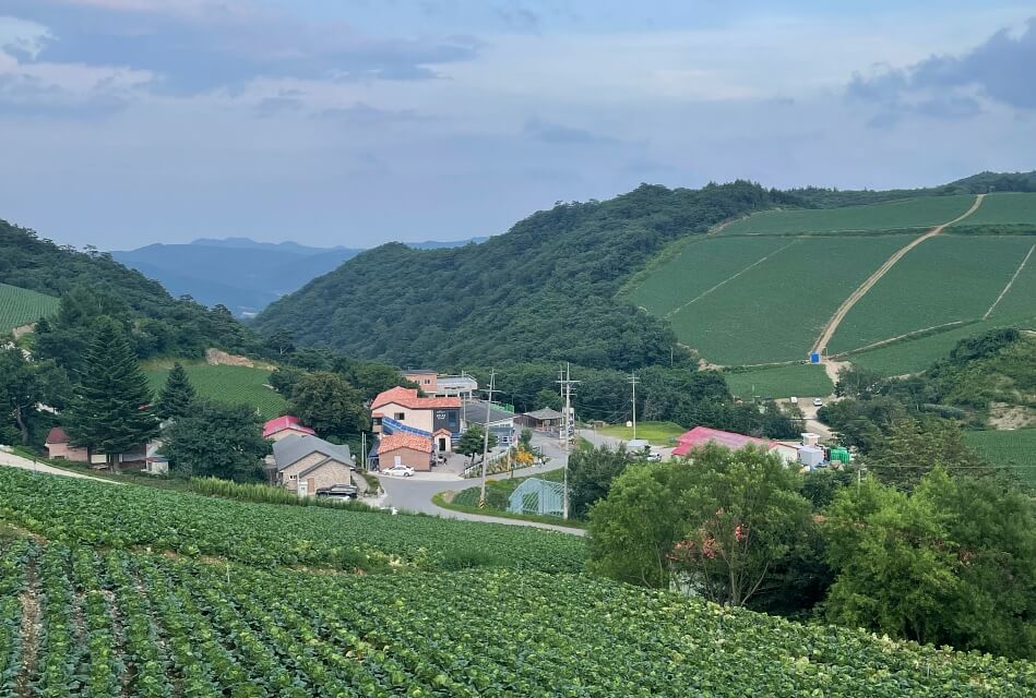 강릉 가볼 만한 곳 안반데기